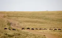 Activists launch new case against luxury lodges in Maasai Mara
