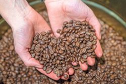 Potential pesticides on coffee beans in Europe