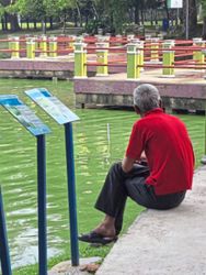 Malaysians are not ageing well
