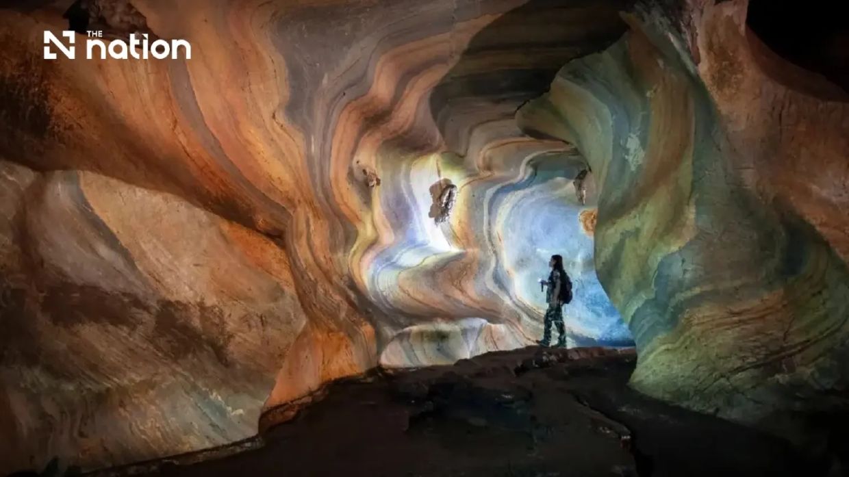 - Photo: Department of National Parks, Wildlife and Plant Conservation