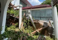 Termites to blame for tree fall that damaged two houses in Penang, say residents