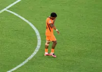Soccer-World Cup players facing growing pattern of racist abuse, FIFPRO warns