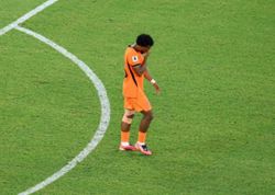 Soccer-World Cup players facing growing pattern of racist abuse, FIFPRO warns