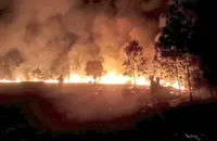 Surge in bush fires sparks long-term warnings