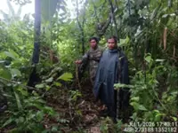 Cambodia busts almost 1,000 natural resource crimes in first half of year