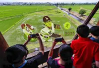 Japanese baseball star Shohei Ohtani celebrated in hometown rice field art