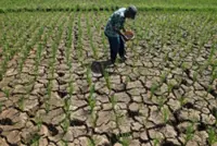 Drought tightens grip across Indonesia