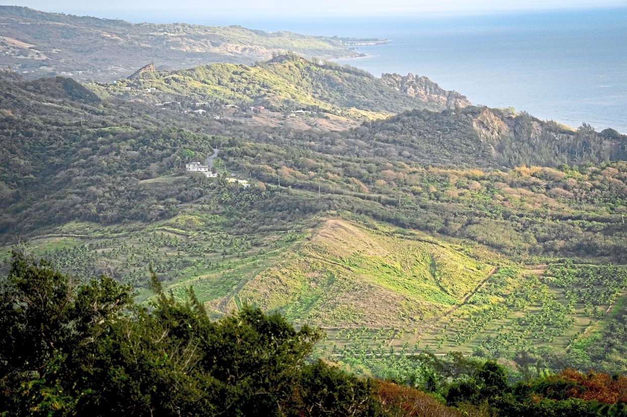 A view of the Peg Farm and Nature Reserve, which was once a plantation.