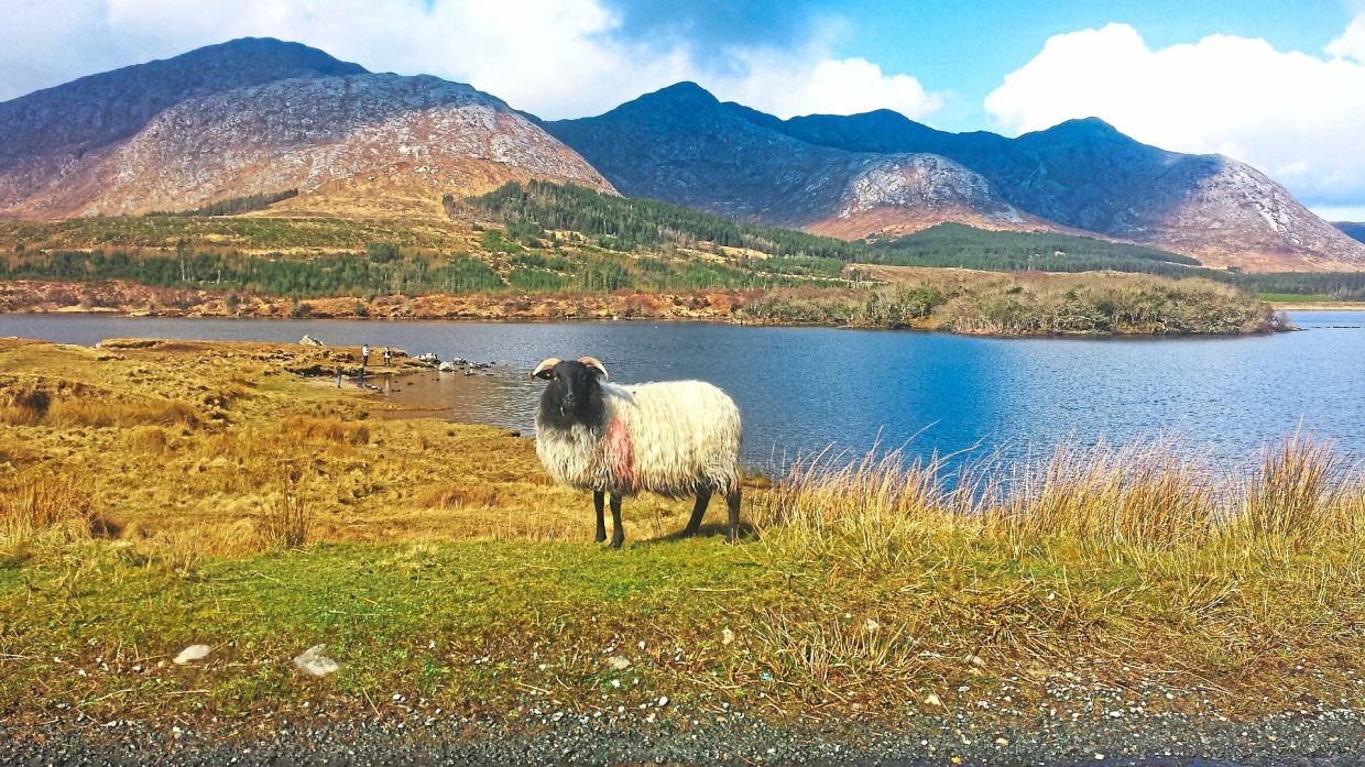 Ireland’s Connemara National Park is great for hiking.