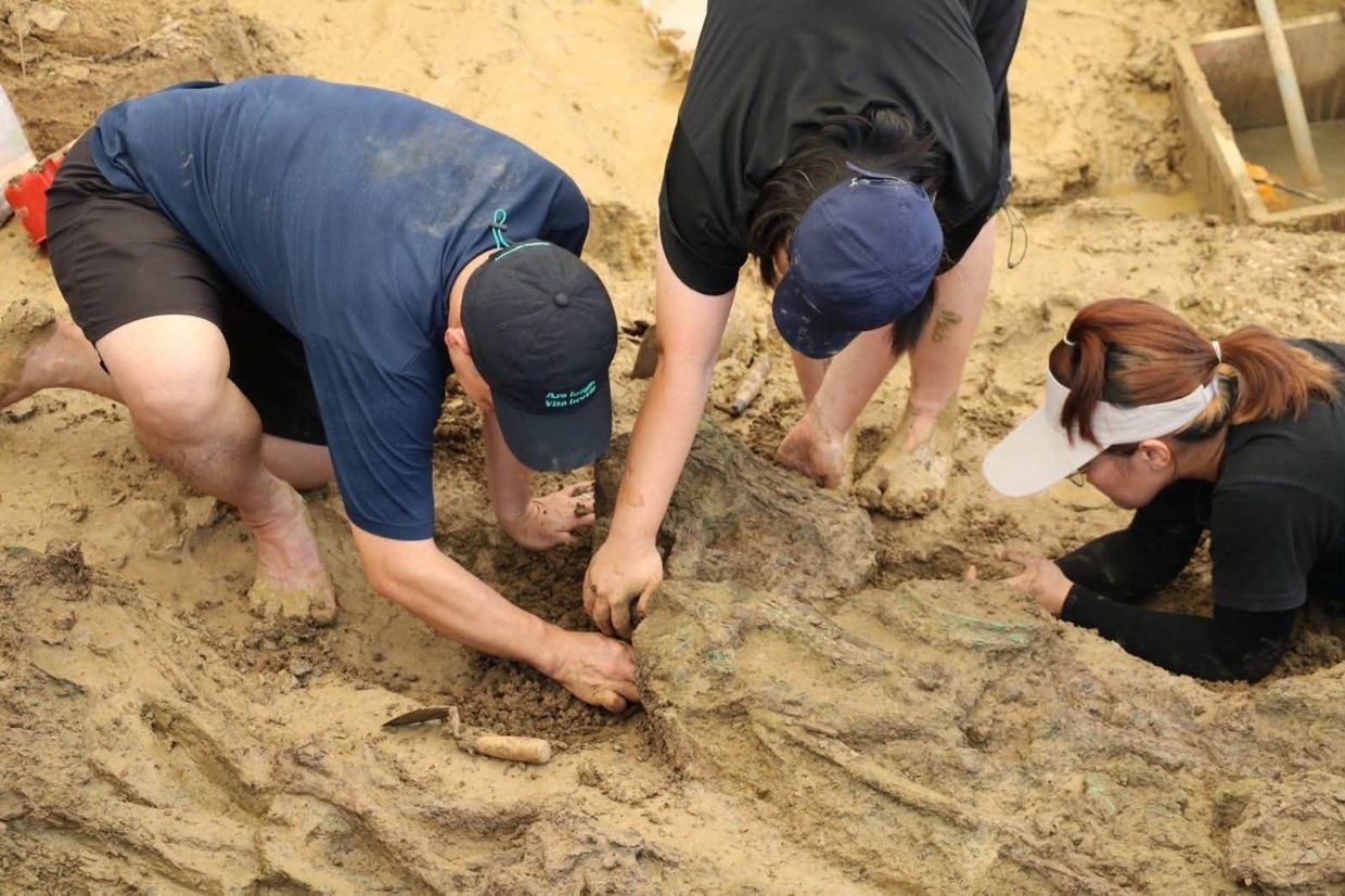 In this photo released by The Fine Arts Department, archaeologists are pictured with human bones during an ongoing dig at the Don Yai Thong archeological site in Phetchaburi province, Thailand. -- Photo: The Fine Arts Department via AP