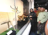 Priceless national artefacts digitised for access to public