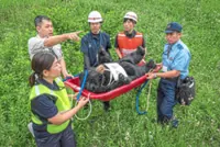 Bear scare sparks helicopter rescue