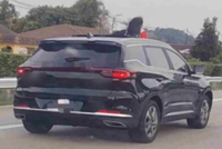 QuickCheck: Did two children stick their heads out of a moving car's sunroof?