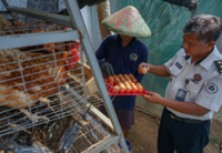 Pardoned Indonesian convicts trained for food security jobs: Minister