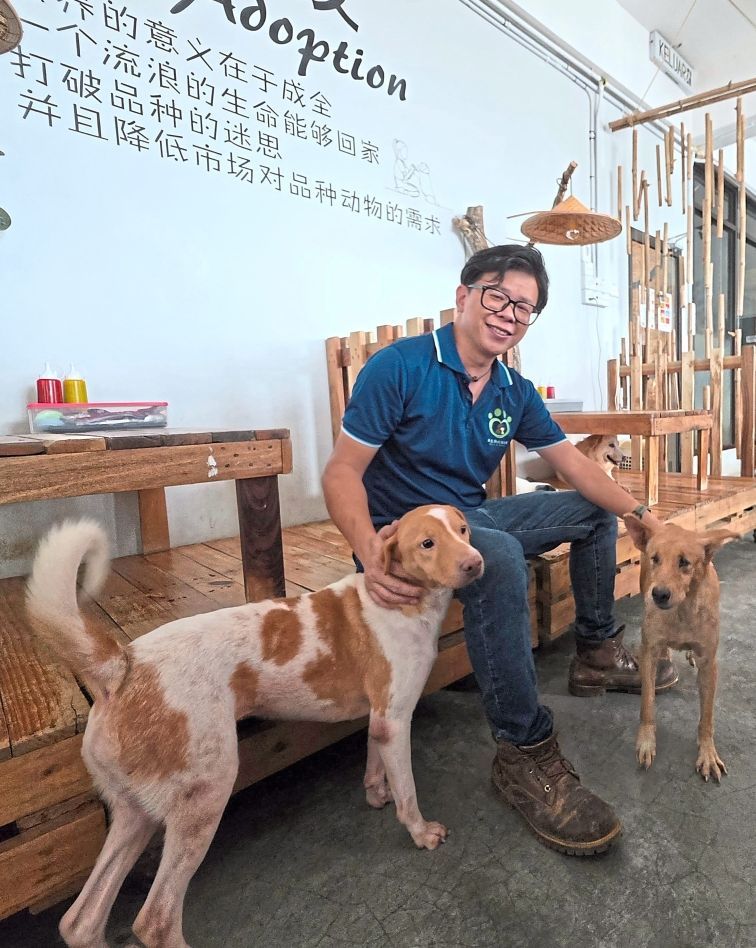 Give them some love: Chong with some of the dogs up for adoption at his cafe in Ipoh, Perak.