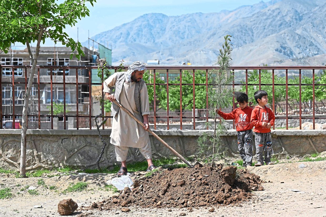 An Afghan resident planting a tree with his children outside their home in Charikar district, Parwan province.