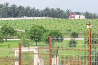 ‘Create jobs to retain youth in Layang-Layang’