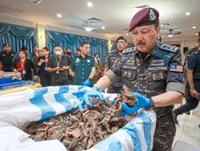 A swift end to RM81mil illegal bird’s nest ring