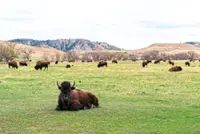 Outdoor adventures await travellers in the United States