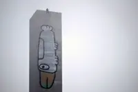 Graffiti artist scales Australian bridge tower, paints bird cartoon, disrupts traffic