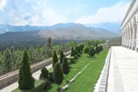 From poplars to pistachios, Afghans rediscover the value of trees