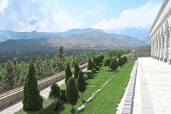 From poplars to pistachios, Afghans rediscover the value of trees