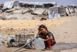 Israeli military has destroyed more than 90 per cent of the Gaza Strip, says report