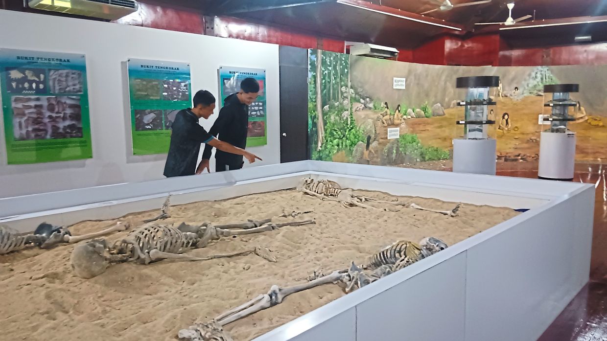 Visitors looking at a representation of skeletal finds featured at Bukit Tengkorak Archaeological Heritage Gallery. 