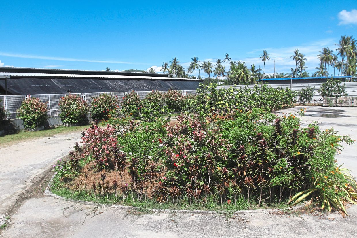 A plot of empty land set to be turned into a dog park at the SPCA shelter in Juru, Bukit Mertajam.