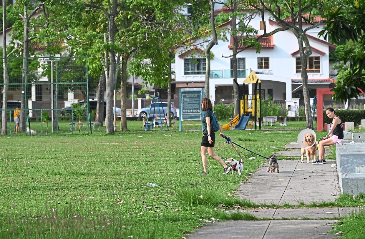 A proposal has been submitted for Casa Permai Central Park in Tanjung Bungah to be designated as Penang island’s first pet-friendly public park.