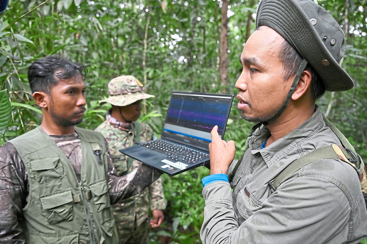 Jungle sounds: A conservationist (right) and ranger listening to animal sounds recorded from a bioacoustics device in the Cardamom National Park in Koh Kong province. — AFP