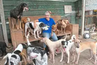 German retiree dedicates golden years to canines in Teluk Bahang