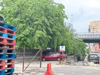 ‘Green spaces in KL can be leased for other uses’
