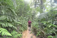 Utilise hiker community, provide training to improve safety on Bukit Kiara trails