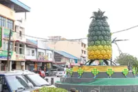 Pekan Nanas stands tall with industries, jobs