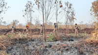 Malaysia all set for Super El Nino