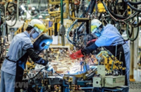 Reforms key to Vietnam's double-digit growth ambitions