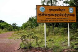 Cambodia wants to bring tigers back, but should it?