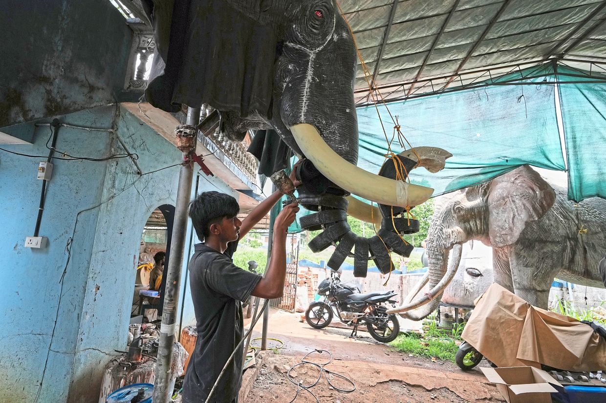 When faith meets tech: A worker spraying a chemical on the trunk of a robotic elephant at a backyard workshop in Chalakudy. -AP