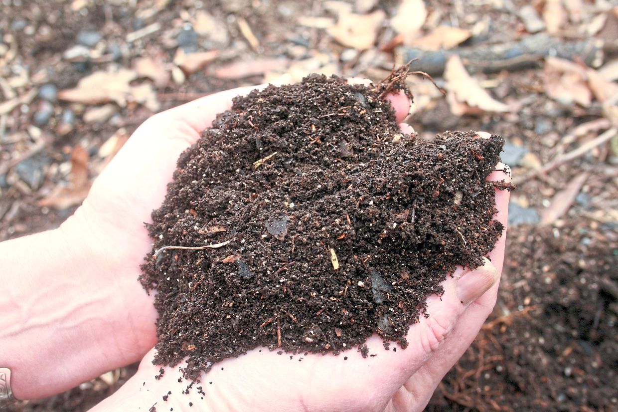 Compost made from decomposed green kitchen scraps, yard litter and garden waste.