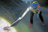 Paving the way for a great crab comeback