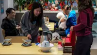 Hong Kong welcomes paw pals in up to 1,000 restaurants