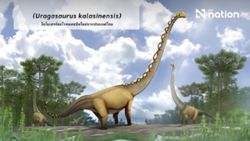 Thailand names new snake-necked dinosaur from Kalasin