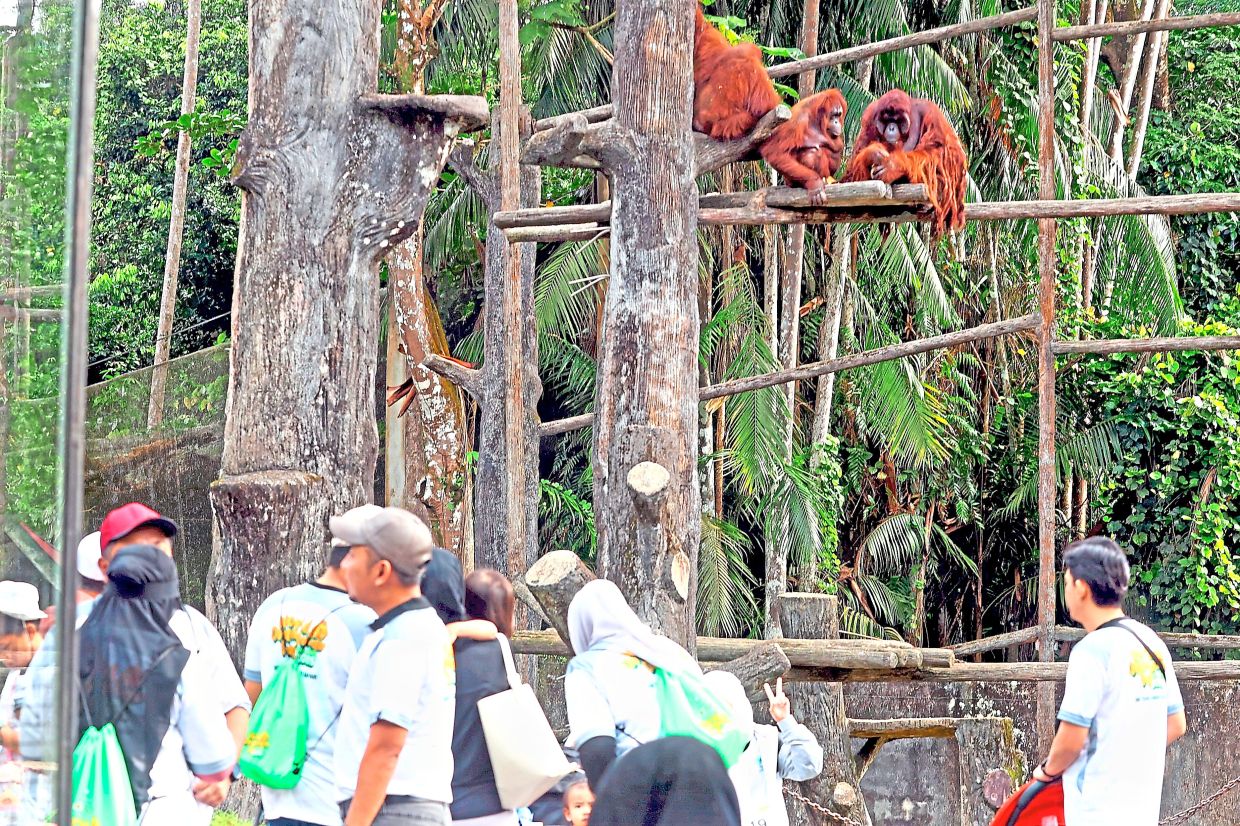 The agreement aims to strengthen ties between Taiping and Bukit Merah. Seen here is Zoo Taiping and Night Safari. — Filepic