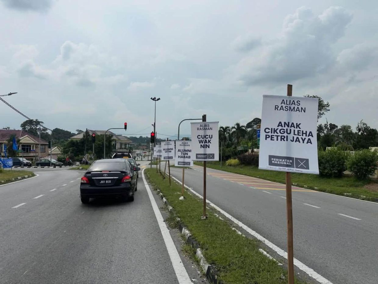 Perikatan Nasional candidate for Panti, Mohamad Alias Rasman, 35, put up a series of campaign buntings featuring short descriptions to introduce himself. (Photo from Facebook)