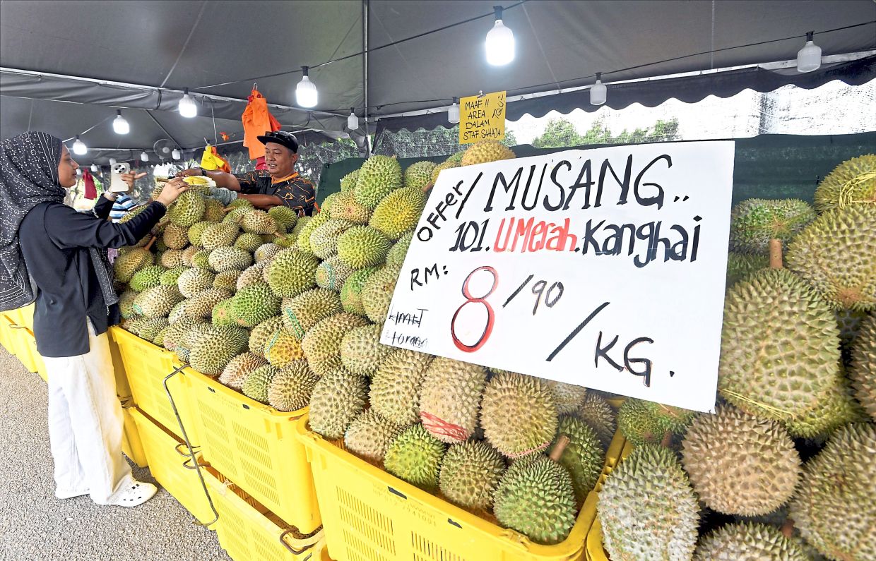 The current cheaper prices of durian makes it even harder to limit consumption for durian lovers. — AZHAR MAHFOF/The Star