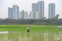New push to stabilise Vietnam property market