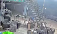 Thieves eye premium durians despite price drop