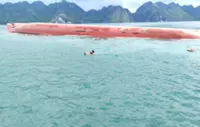 Search resumes for final missing person after cargo ship capsizes off Vietnam's Van Don coast