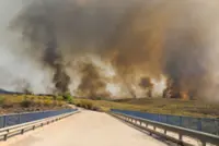 Spanish wildfire victims burned in cars as roads turned into death traps